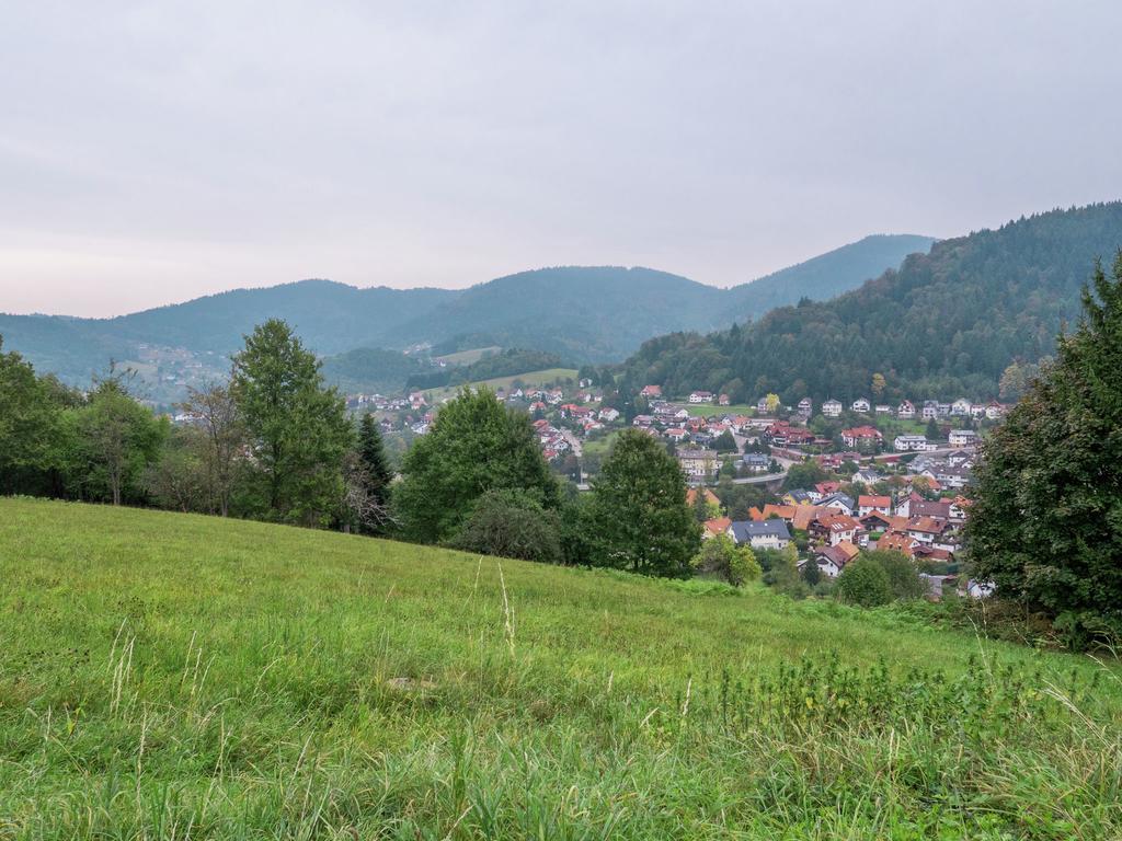 Quaint Apartment In Buhlertal With Private Garden Kültér fotó