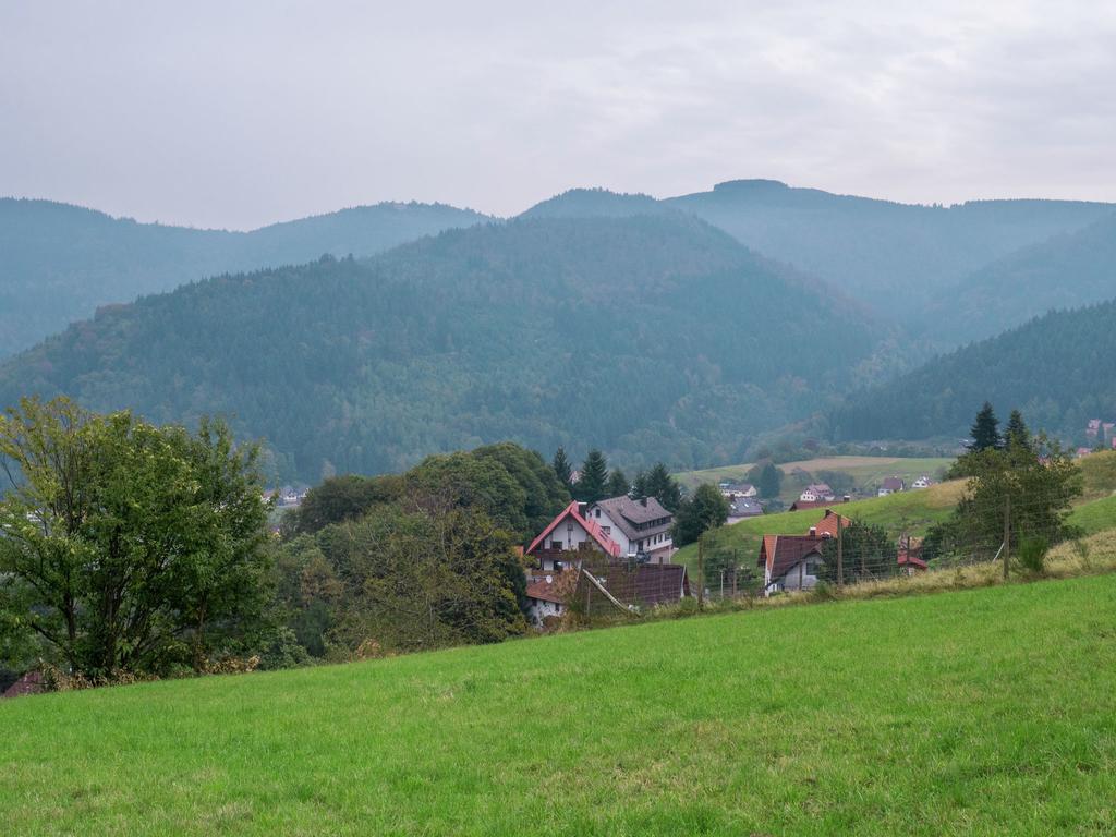 Quaint Apartment In Buhlertal With Private Garden Kültér fotó